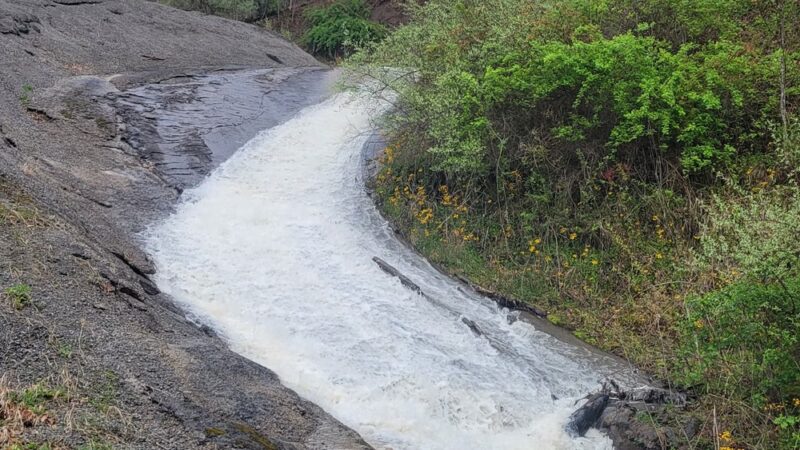 Anawalt Lake Wildlife Management Area - Anawalt, WV