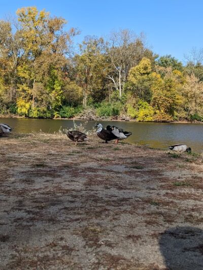 Alex Pike Park - Anderson, IN