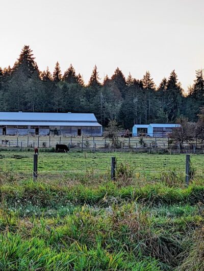 Freddie's Off-Leash Dog Park - Anderson Island, WA