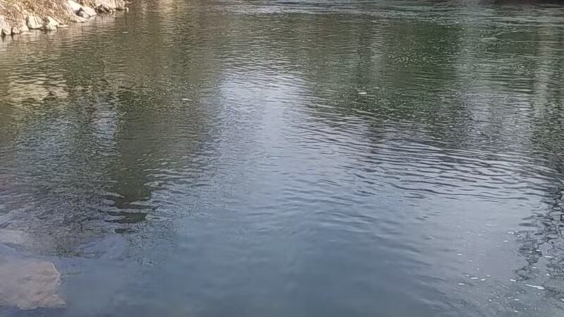 Dabbs Greer Town Hole Park and Access - Anderson, MO