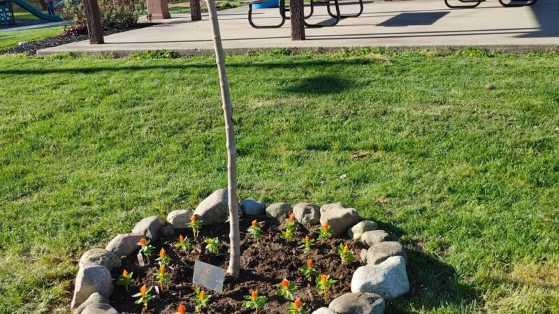 Town of Andrews Public Park - Andrews, IN