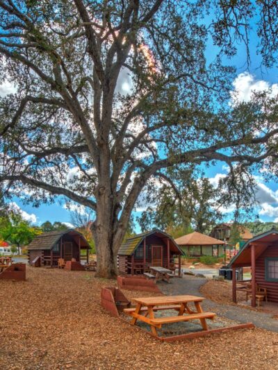Angels Camp RV & Camping Resort - Angels Camp, CA