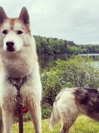 Dog Trotters LLC - Angier, NC