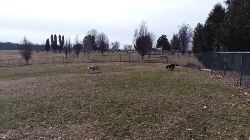 Commons Dog Exercise Area - Angola, IN