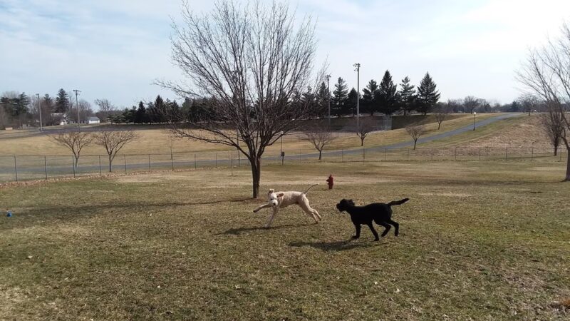 Commons Dog Exercise Area - Angola, IN
