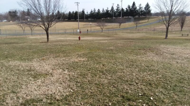 Commons Dog Exercise Area - Angola, IN