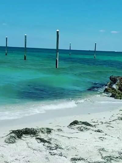 Bayfront Park - Anna Maria, FL