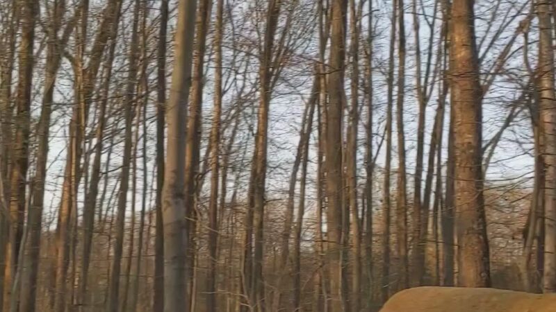 495 Trails - Annandale, VA