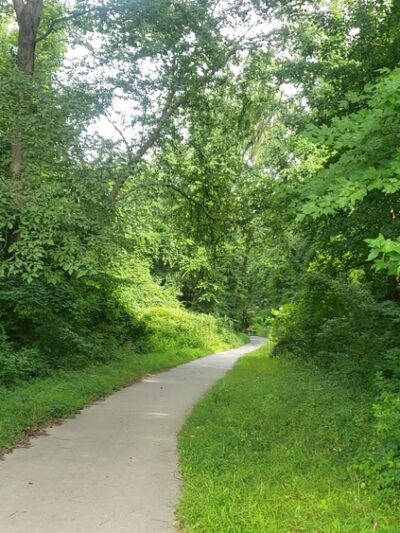 Americana Park - Annandale, VA