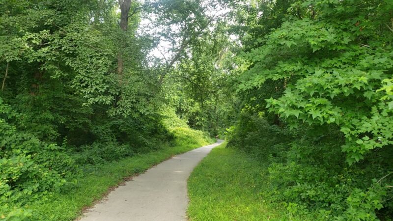 Americana Park - Annandale, VA