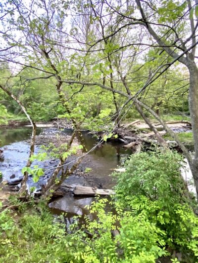 Americana Park - Annandale, VA