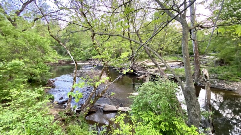 Americana Park - Annandale, VA