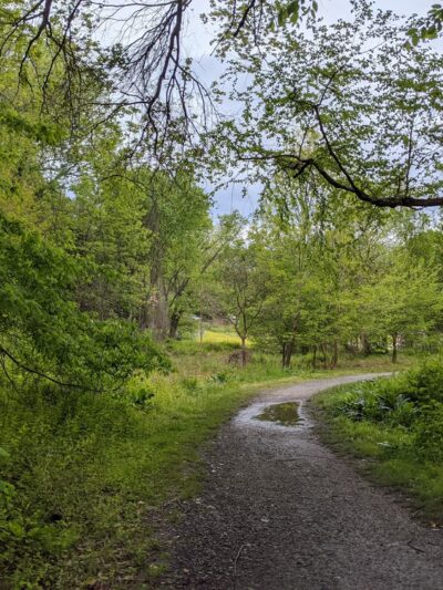 Canterbury Woods Park - Annandale, VA