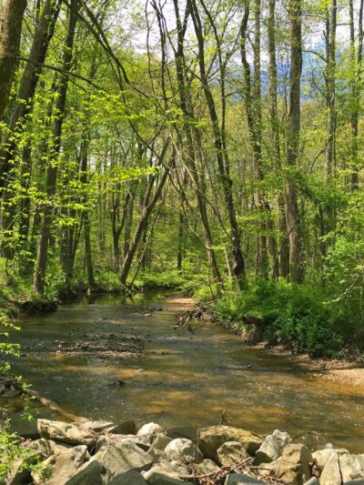 Holmes Run Stream Valley Park - Annandale, VA