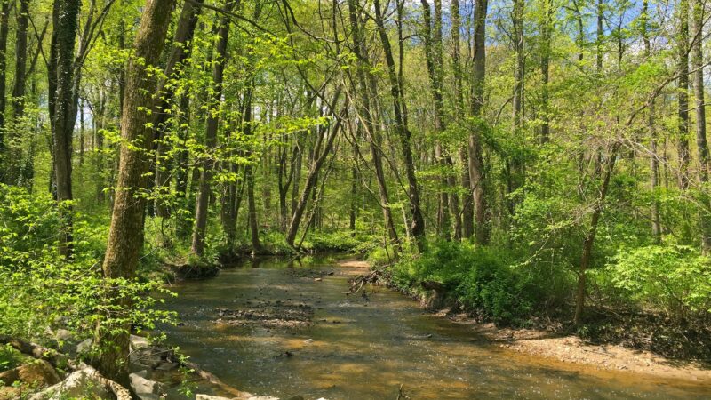 Holmes Run Stream Valley Park - Annandale, VA