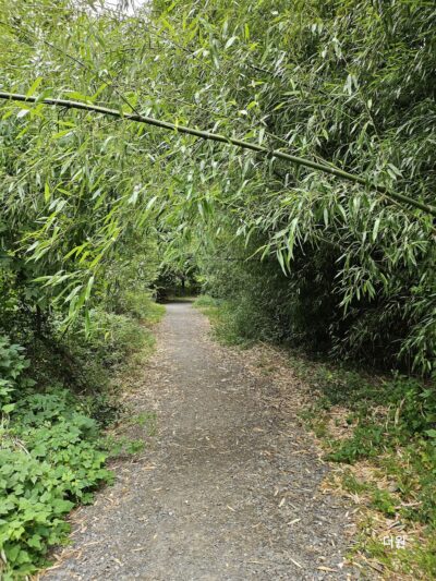 Long Branch Stream Valley Trail - Annandale, VA
