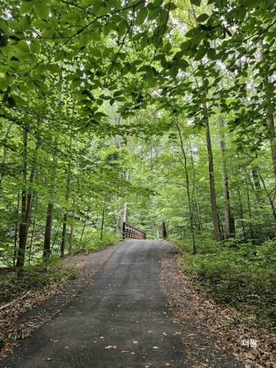 Long Branch Stream Valley Trail - Annandale, VA