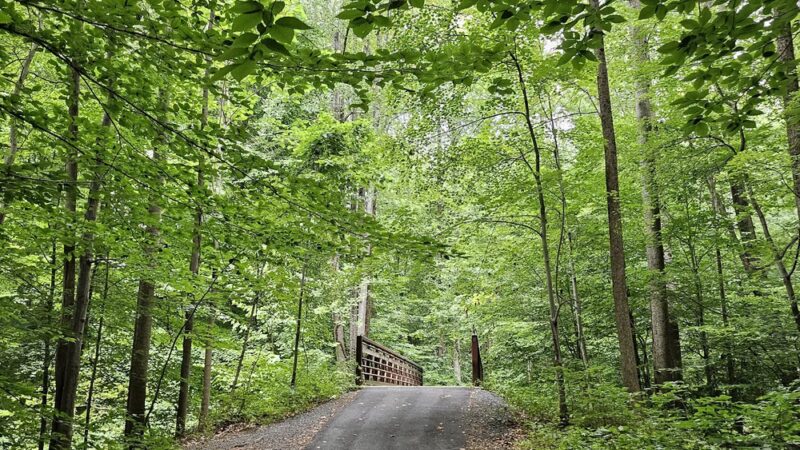 Long Branch Stream Valley Trail - Annandale, VA