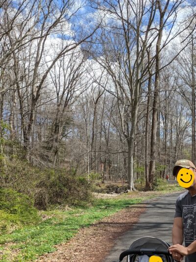 Long Branch Stream Valley Trail - Annandale, VA
