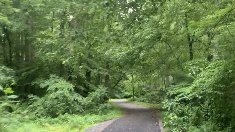 Long Branch Stream Valley Trail - Annandale, VA