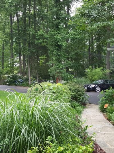 Manassas Gap Park - Annandale, VA