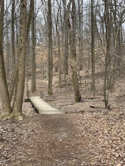 Mason District Park - Annandale, VA