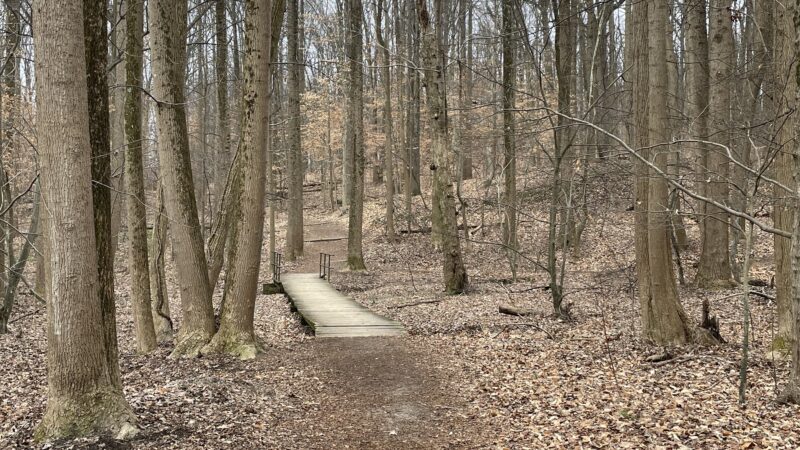 Mason District Park - Annandale, VA