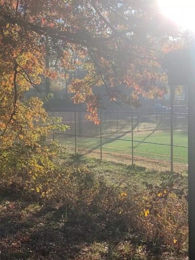 Mason District Park - Annandale, VA