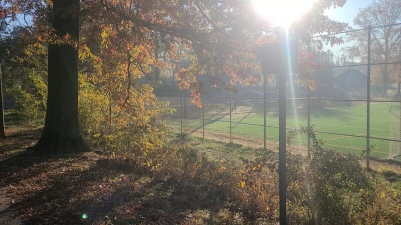 Mason District Park - Annandale, VA