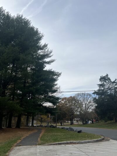 Mason Park field - Annandale, VA