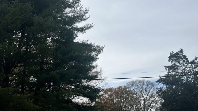 Mason Park field - Annandale, VA