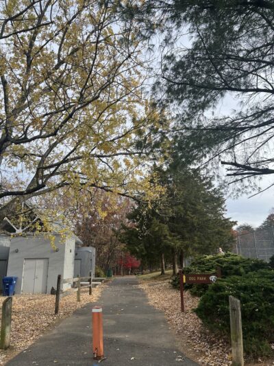 Mason Park field - Annandale, VA