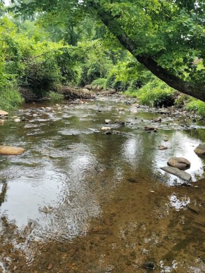 Rose Lane Park - Annandale, VA