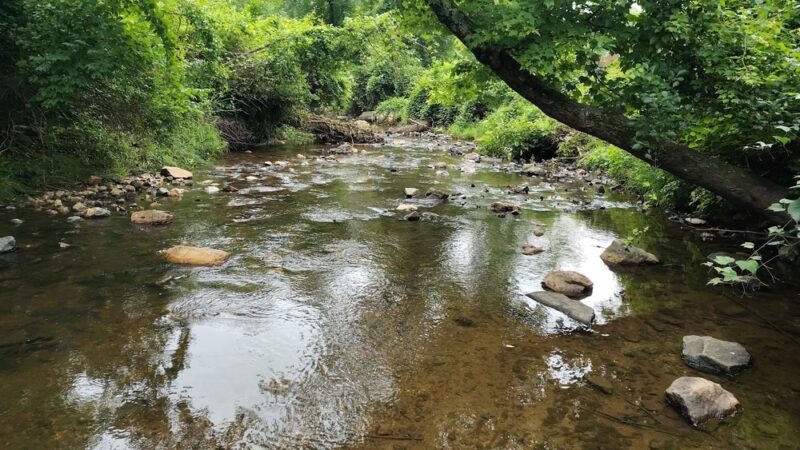 Rose Lane Park - Annandale, VA