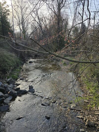 Rose Lane Park - Annandale, VA