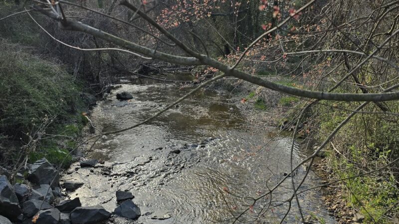 Rose Lane Park - Annandale, VA