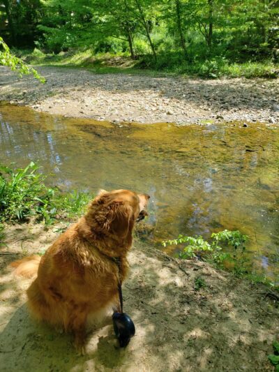 Valley Crest Park - Annandale, VA