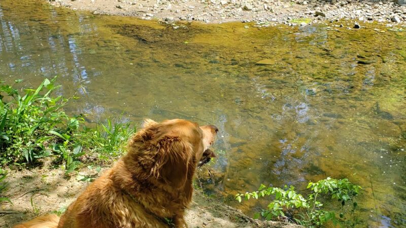 Valley Crest Park - Annandale, VA