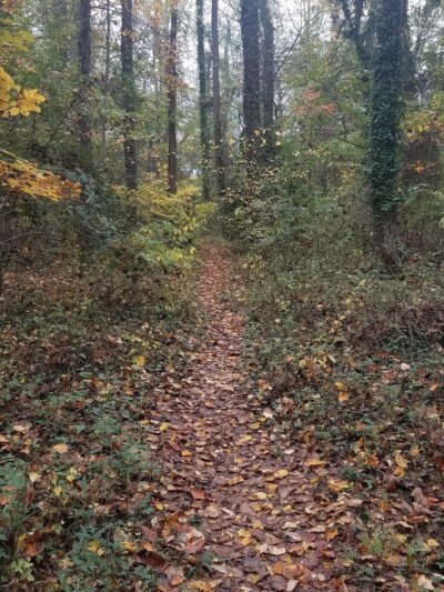 Wilburdale Park - Annandale, VA