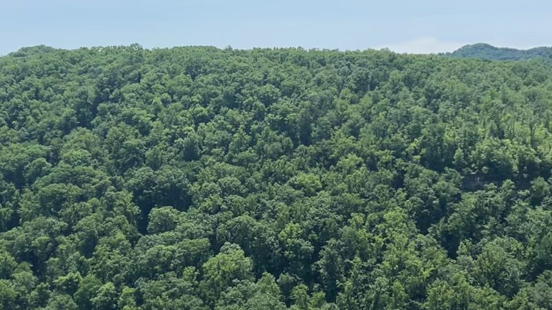 Hawks Nest Overlook Trail - Ansted, WV