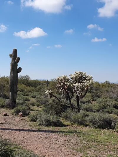 Lost Dutchman State Park - Apache Junction, AZ