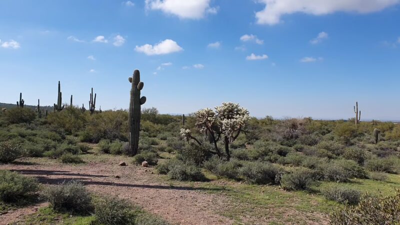 Lost Dutchman State Park - Apache Junction, AZ