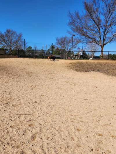 Hunter Street Dog Park (permit required) - Apex, NC