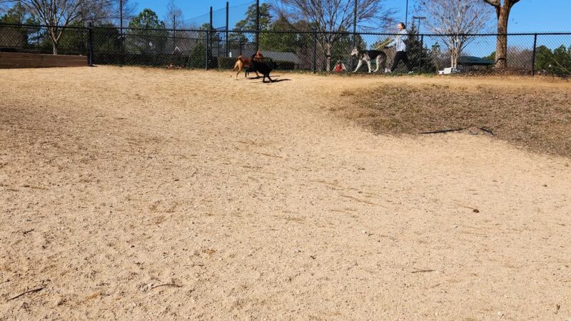 Hunter Street Dog Park (permit required) - Apex, NC