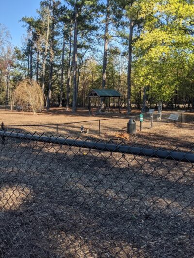 Hunter Street Dog Park (permit required) - Apex, NC