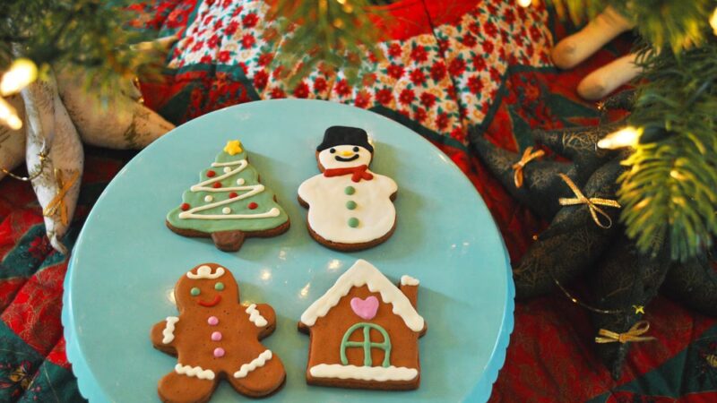 Apple Dog Bakery - Birthday Cakes & Cookies for Dogs! Hooman Grade, Healthy and Yummy - ,