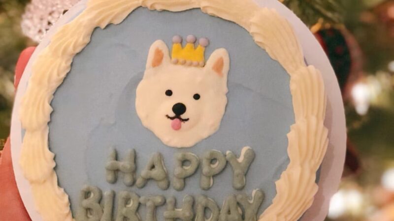 Apple Dog Bakery - Birthday Cakes & Cookies for Dogs! Hooman Grade, Healthy and Yummy - ,