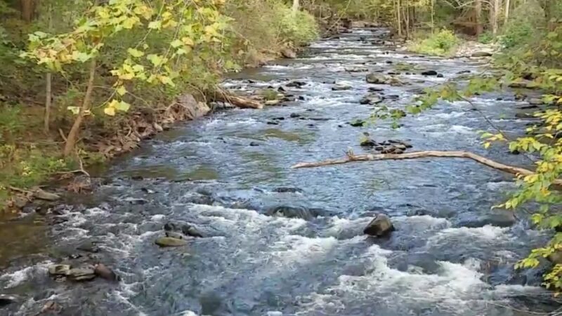 Bartram Trail Access -Beechertown NC - Aquone, NC