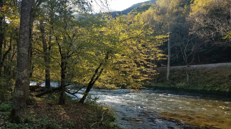 Bartram Trail Access -Beechertown NC - Aquone, NC
