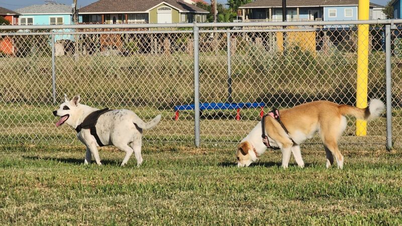 Aransas Pass Dog Park - Aransas Pass, TX